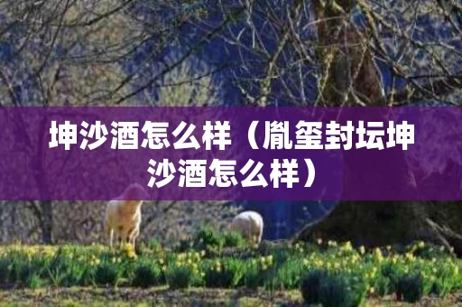 坤沙酒怎么样（胤玺封坛坤沙酒怎么样）