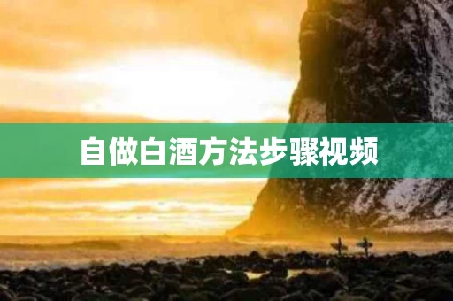 自做白酒方法步骤视频
