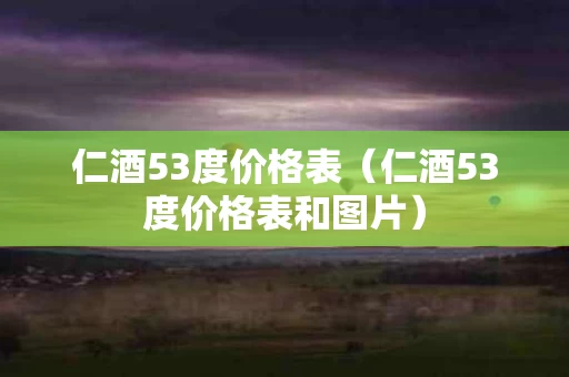 仁酒53度价格表（仁酒53度价格表和图片）