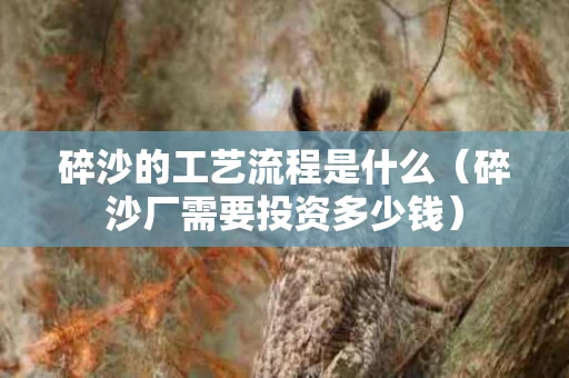 碎沙的工艺流程是什么（碎沙厂需要投资多少钱）