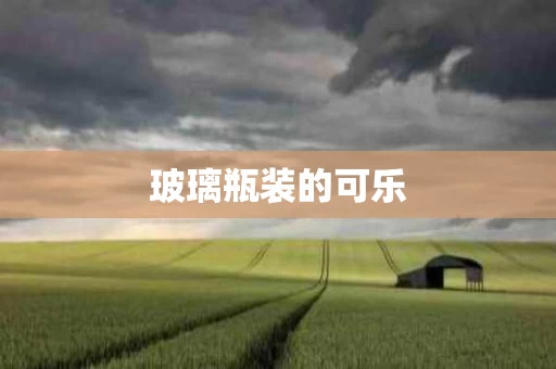 玻璃瓶装的可乐