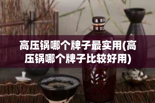 高压锅哪个牌子最实用(高压锅哪个牌子比较好用)