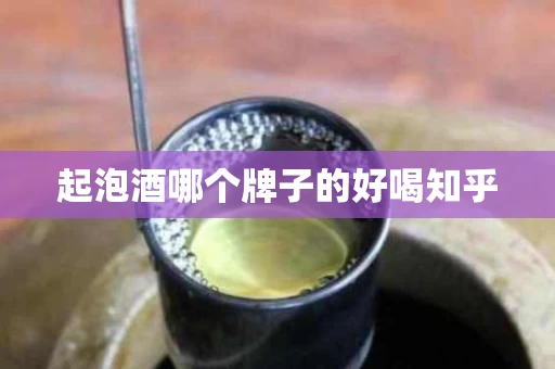 起泡酒哪个牌子的好喝知乎