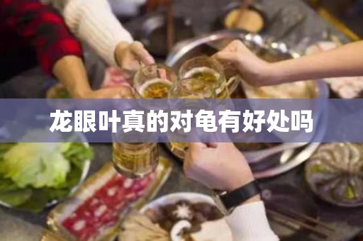 龙眼叶真的对龟有好处吗