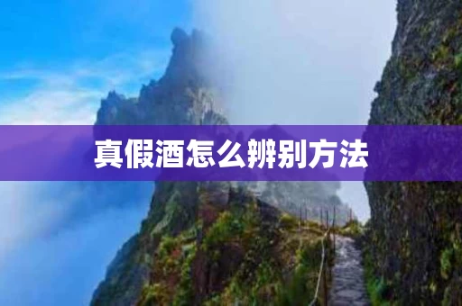 真假酒怎么辨别方法