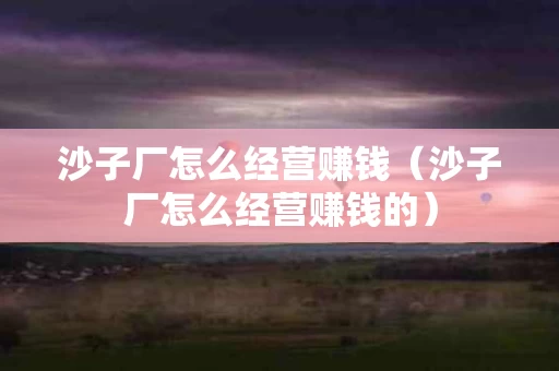 沙子厂怎么经营赚钱（沙子厂怎么经营赚钱的）