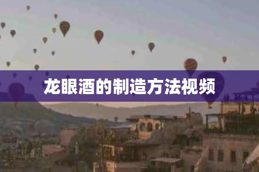 龙眼酒的制造方法视频
