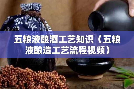 五粮液酿酒工艺知识（五粮液酿造工艺流程视频）