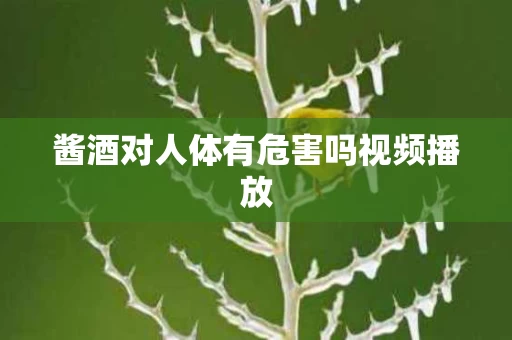 酱酒对人体有危害吗视频播放