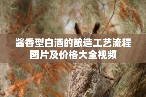 酱香型白酒的酿造工艺流程图片及价格大全视频