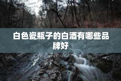白色瓷瓶子的白酒有哪些品牌好