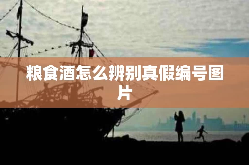 粮食酒怎么辨别真假编号图片
