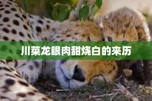 川菜龙眼肉甜烧白的来历