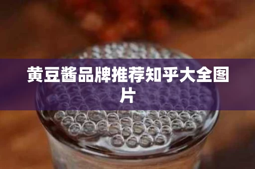 黄豆酱品牌推荐知乎大全图片