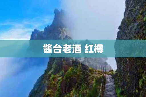 酱台老酒 红樽
