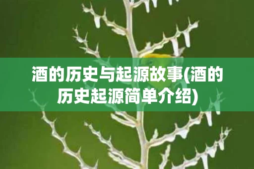 酒的历史与起源故事(酒的历史起源简单介绍)