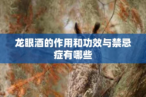 龙眼酒的作用和功效与禁忌症有哪些