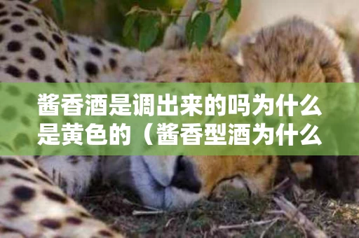 酱香酒是调出来的吗为什么是黄色的（酱香型酒为什么发黄）