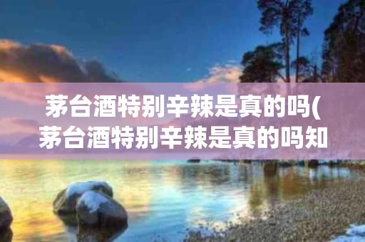 茅台酒特别辛辣是真的吗(茅台酒特别辛辣是真的吗知乎)