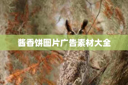 酱香饼图片广告素材大全