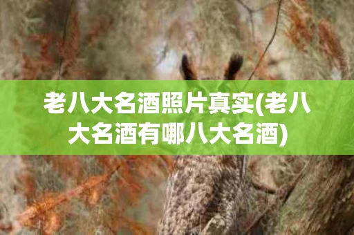 老八大名酒照片真实(老八大名酒有哪八大名酒)