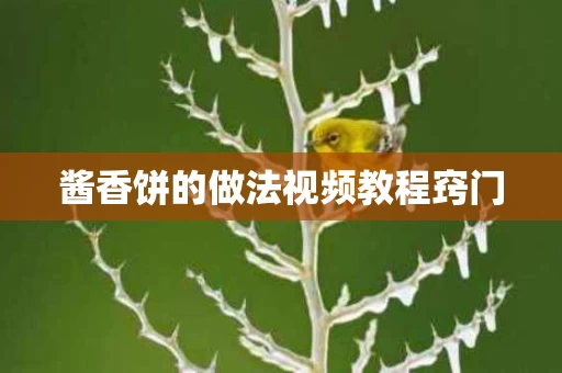 酱香饼的做法视频教程窍门
