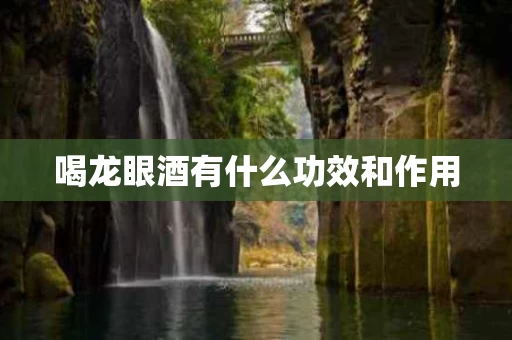 喝龙眼酒有什么功效和作用