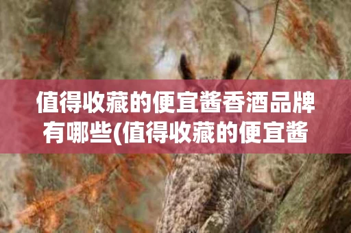 值得收藏的便宜酱香酒品牌有哪些(值得收藏的便宜酱香酒品牌有哪些名字)