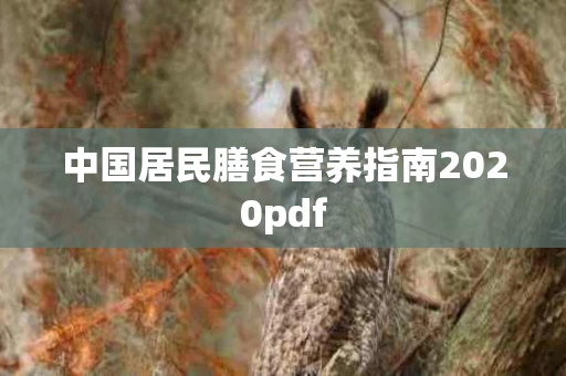 中国居民膳食营养指南2020pdf