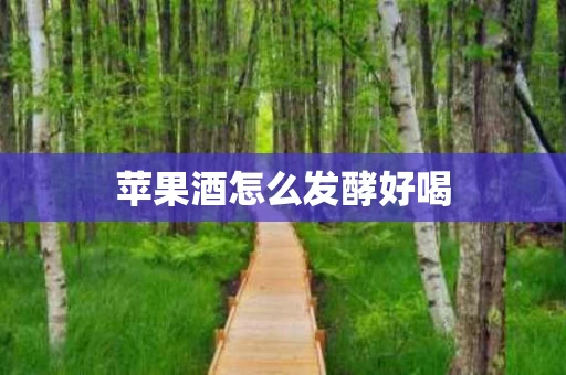 苹果酒怎么发酵好喝