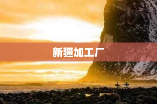 新疆加工厂