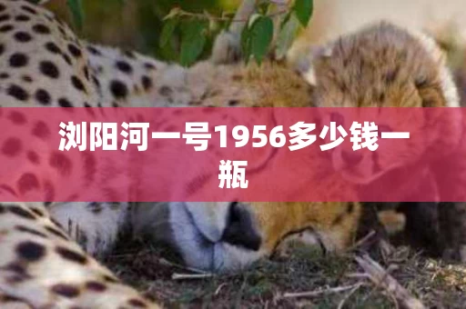 浏阳河一号1956多少钱一瓶