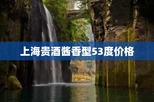 上海贵酒酱香型53度价格