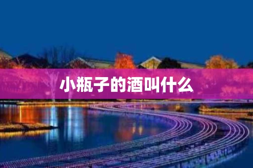 小瓶子的酒叫什么