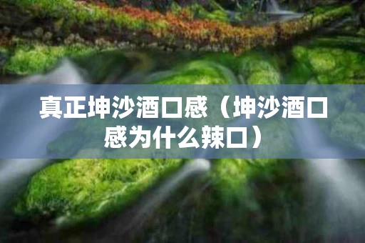 真正坤沙酒口感（坤沙酒口感为什么辣口）