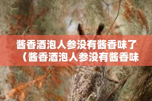 酱香酒泡人参没有酱香味了（酱香酒泡人参没有酱香味了怎么办）