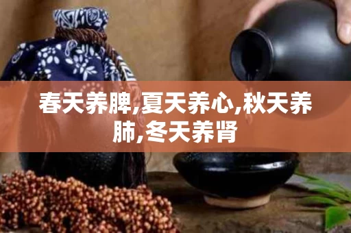 春天养脾,夏天养心,秋天养肺,冬天养肾