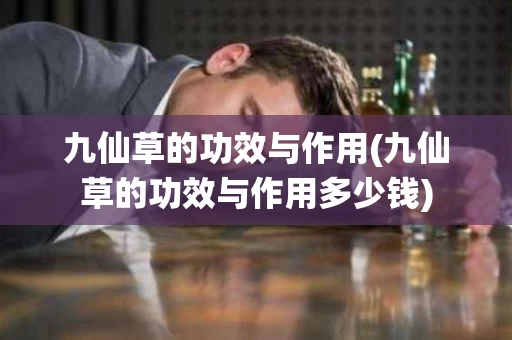 九仙草的功效与作用(九仙草的功效与作用多少钱)
