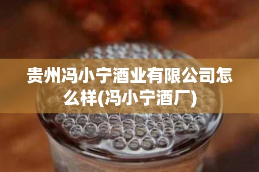 贵州冯小宁酒业有限公司怎么样(冯小宁酒厂)