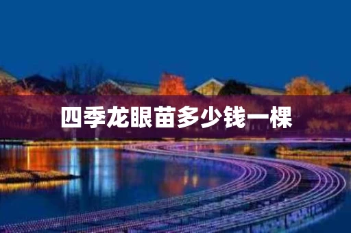 四季龙眼苗多少钱一棵