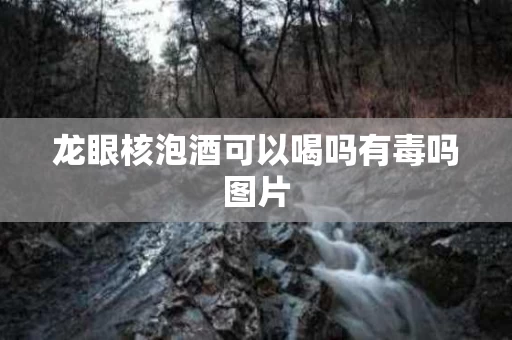 龙眼核泡酒可以喝吗有毒吗图片
