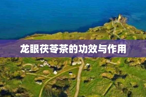 龙眼茯苓茶的功效与作用
