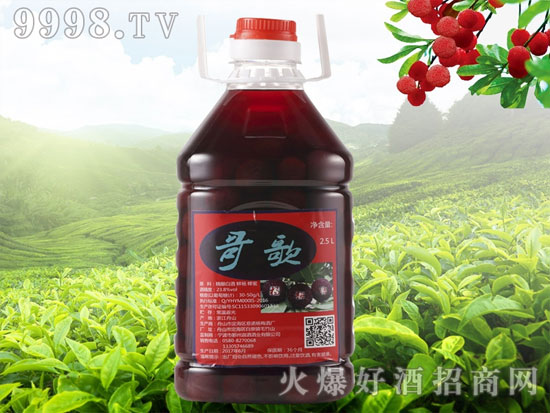杨梅酒的做法竟然这么简单，快速get