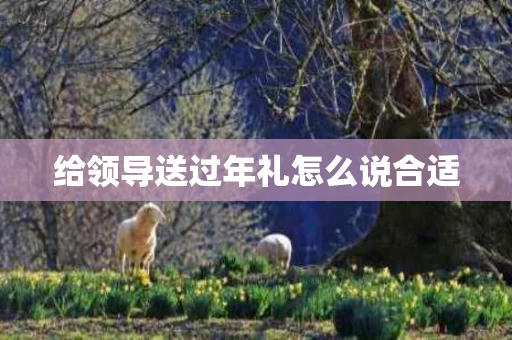 给领导送过年礼怎么说合适
