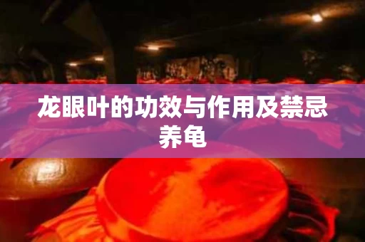 龙眼叶的功效与作用及禁忌养龟