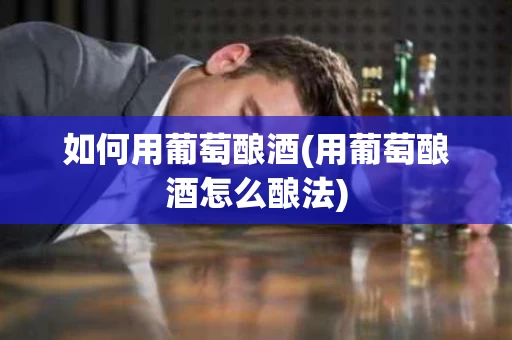 如何用葡萄酿酒(用葡萄酿酒怎么酿法)