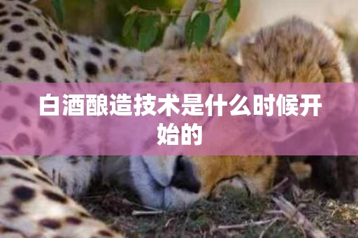 白酒酿造技术是什么时候开始的