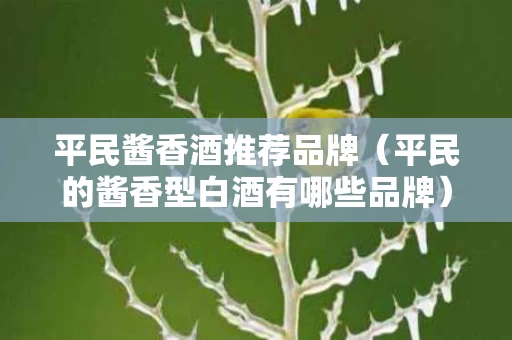 平民酱香酒推荐品牌（平民的酱香型白酒有哪些品牌）