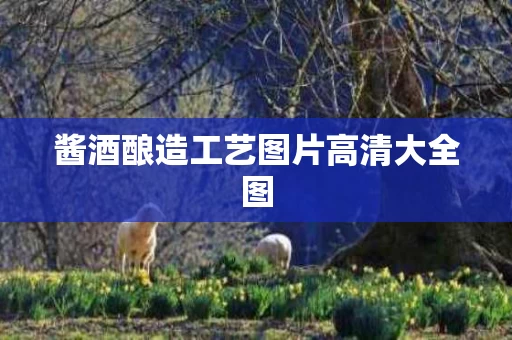 酱酒酿造工艺图片高清大全图