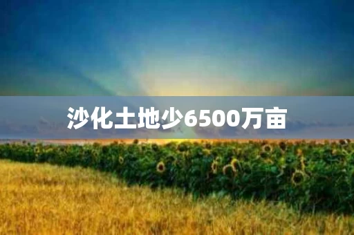 沙化土地少6500万亩